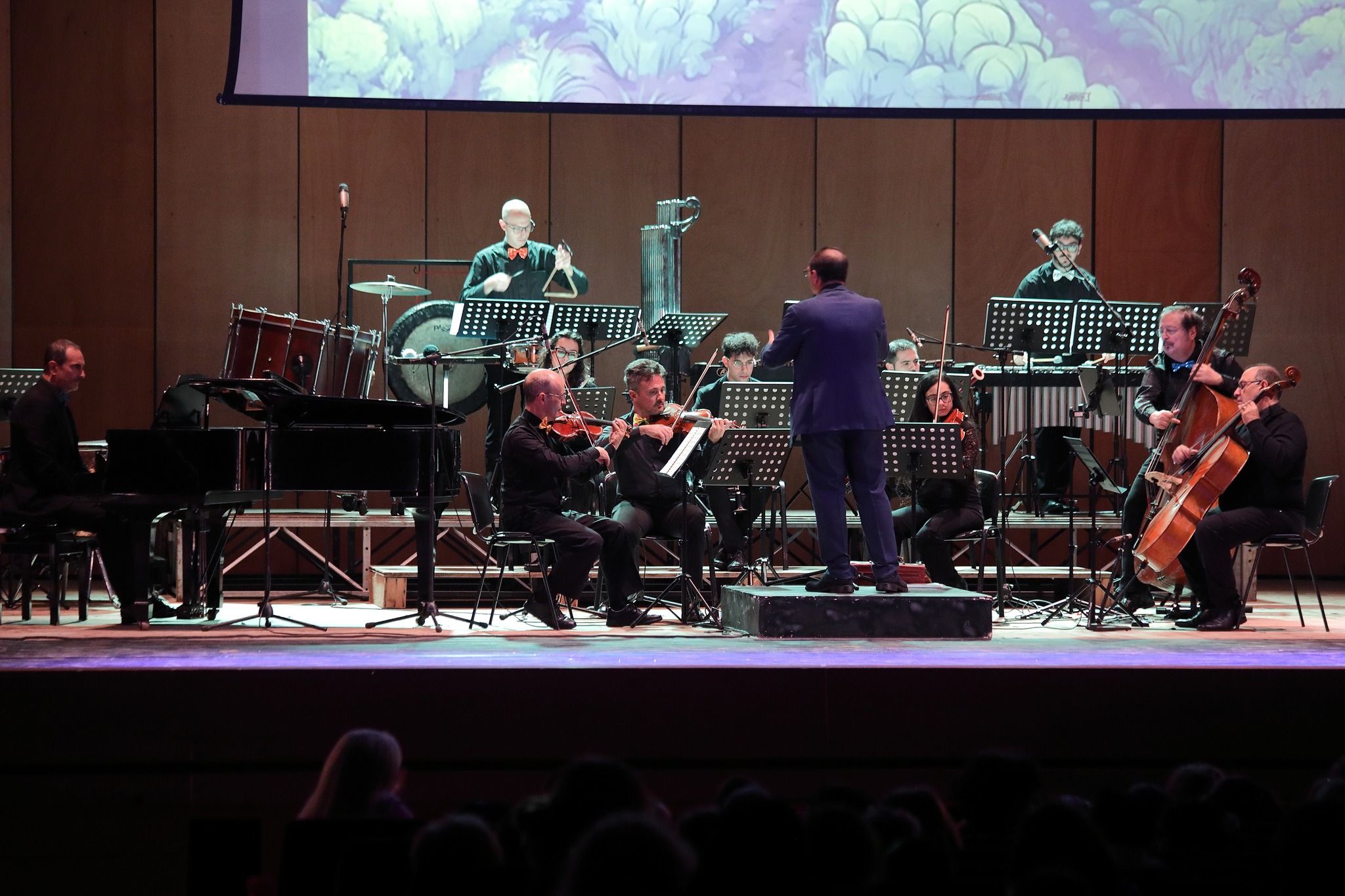 Orchestra da Camera di Messina in concerto — vista panoramica dal palco con animazione