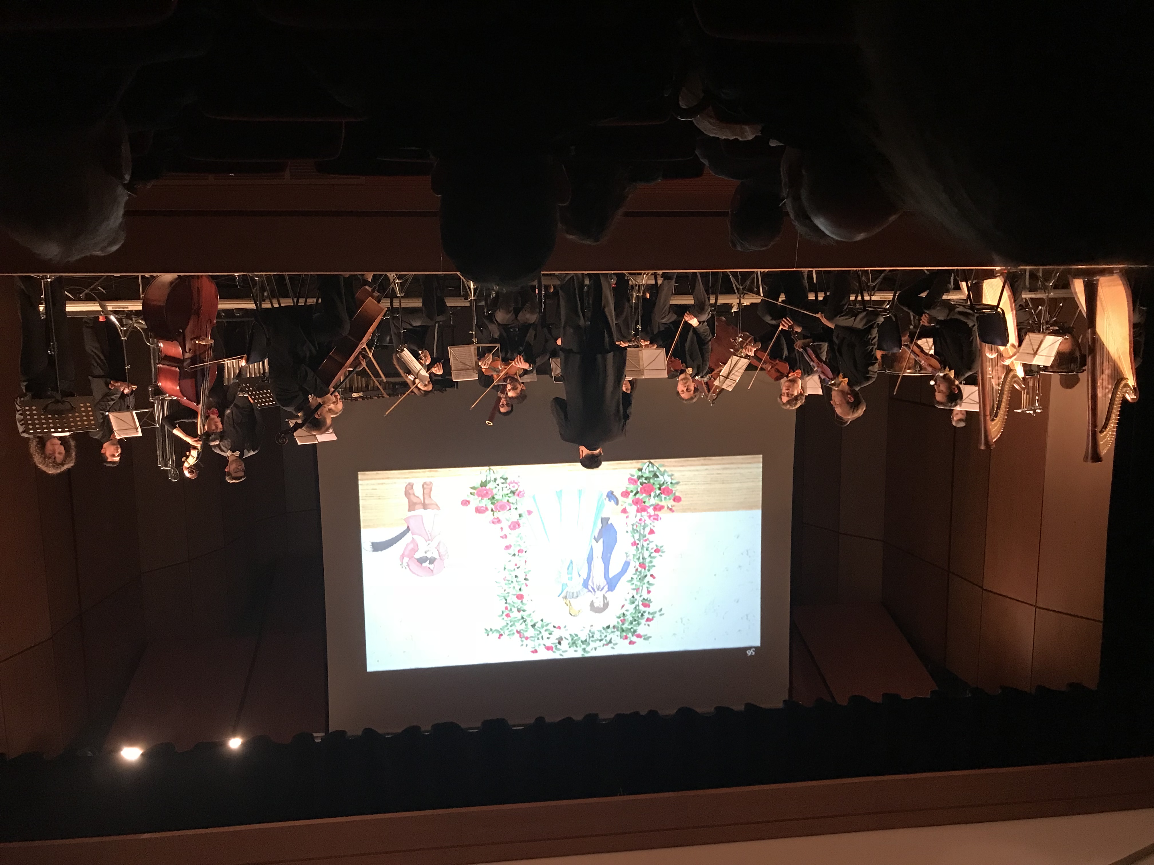 Orchestra da Camera di Messina — vista dalla platea durante il concerto